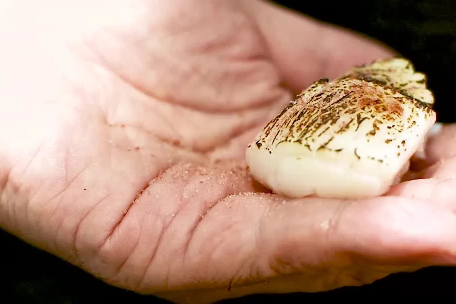 A piece of torched nigiri at KAZ Sushi Bistro